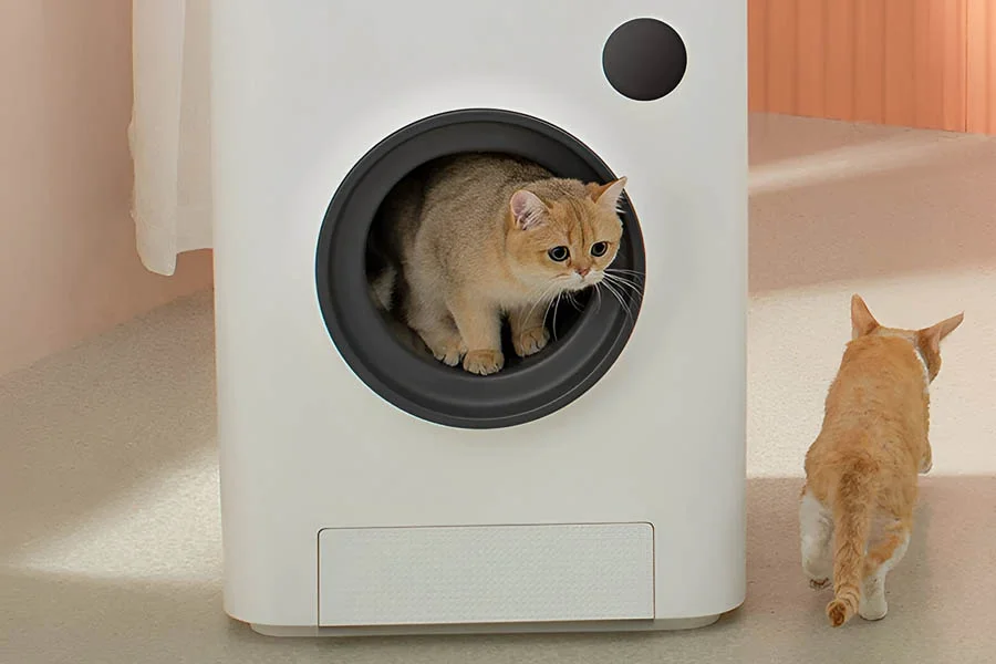 best robotic litter box