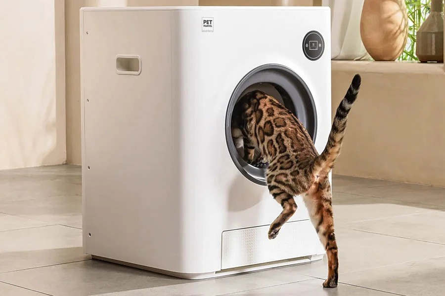 auto clean litter box